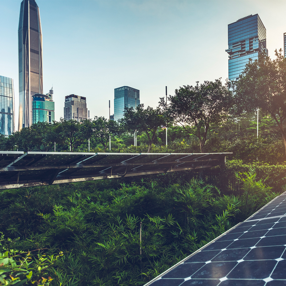 buildings and solar panels