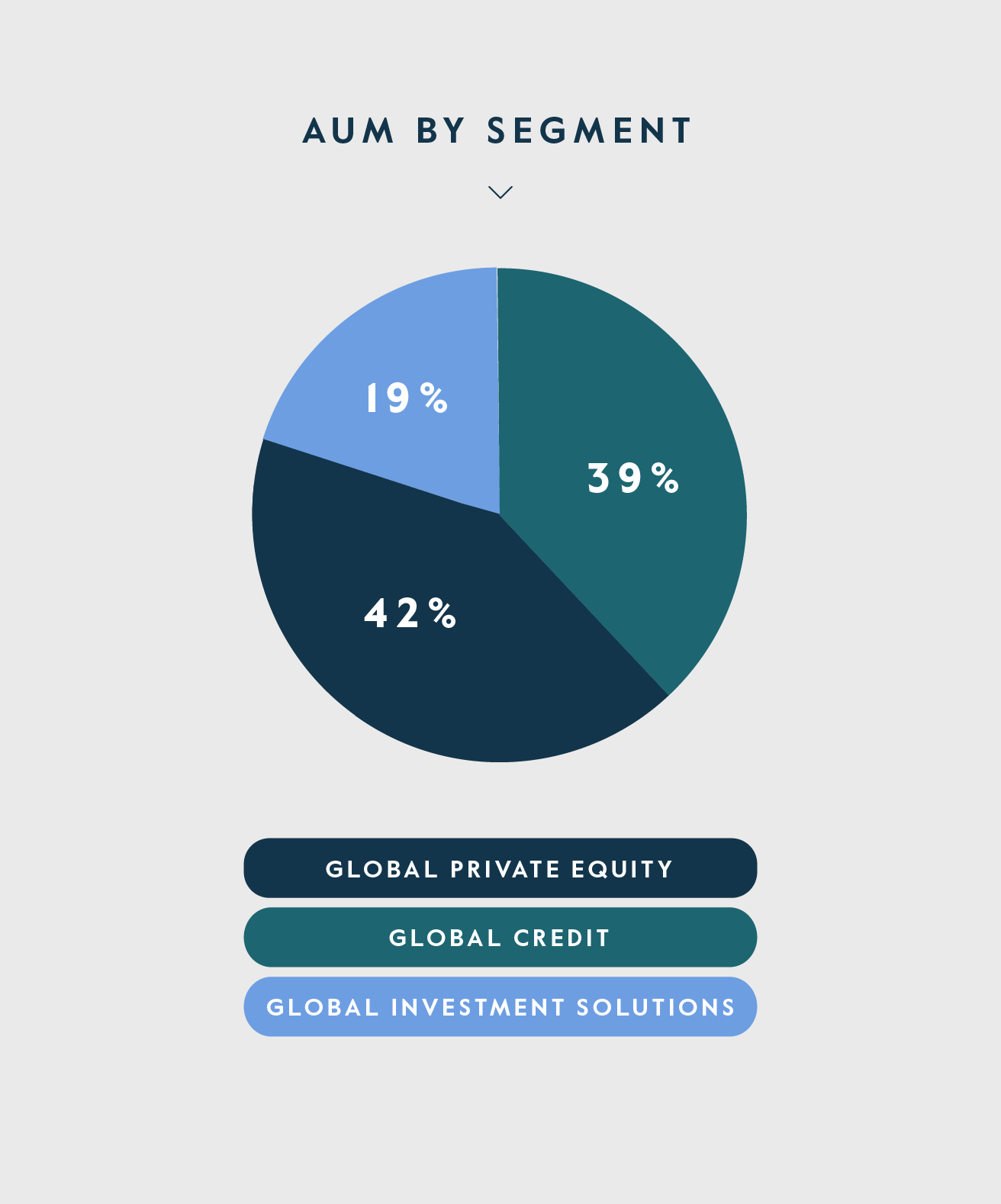 AUM by Segment