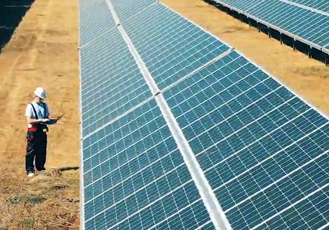 panels