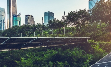 buildings and solar panels